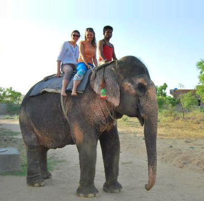 Udaipur Elephant Village Tour
