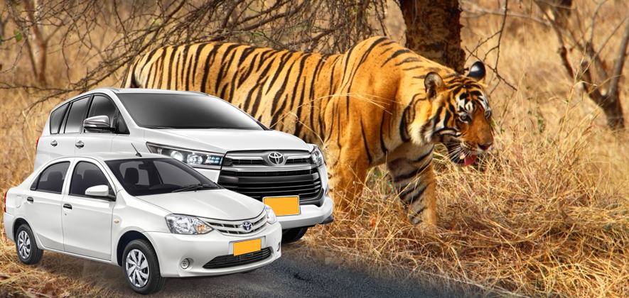 Udaipur to Ranthambore Taxi Service